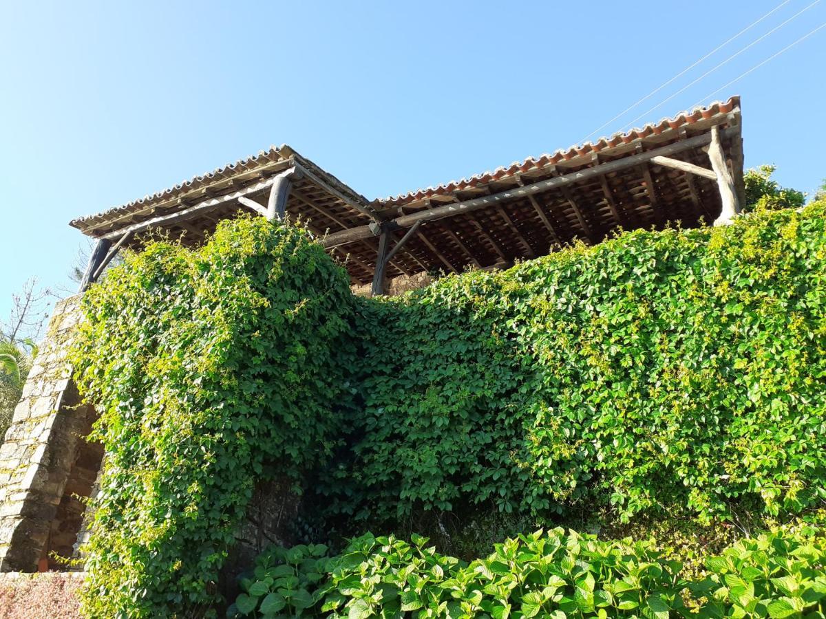 Casa do Tôjo e Rosmaninho Ferreira do Zêzere Exterior foto